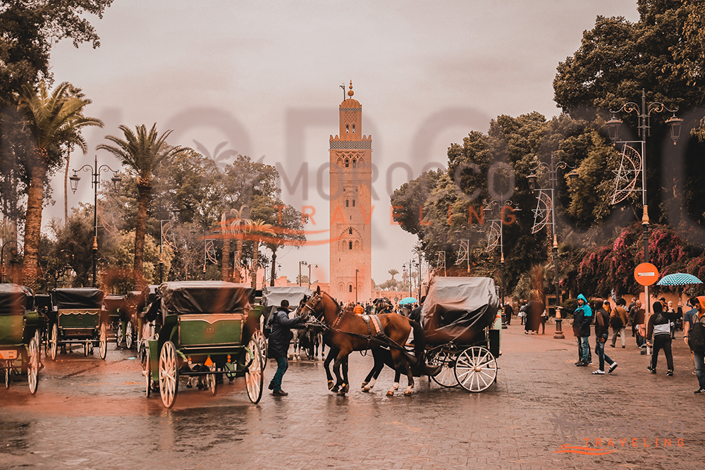 Private tour in Marrakech