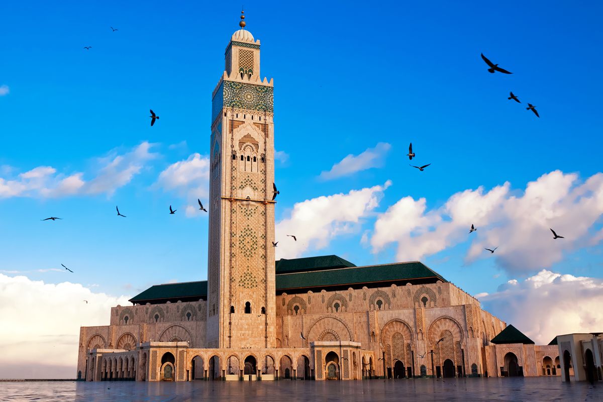 10 days from casablanca